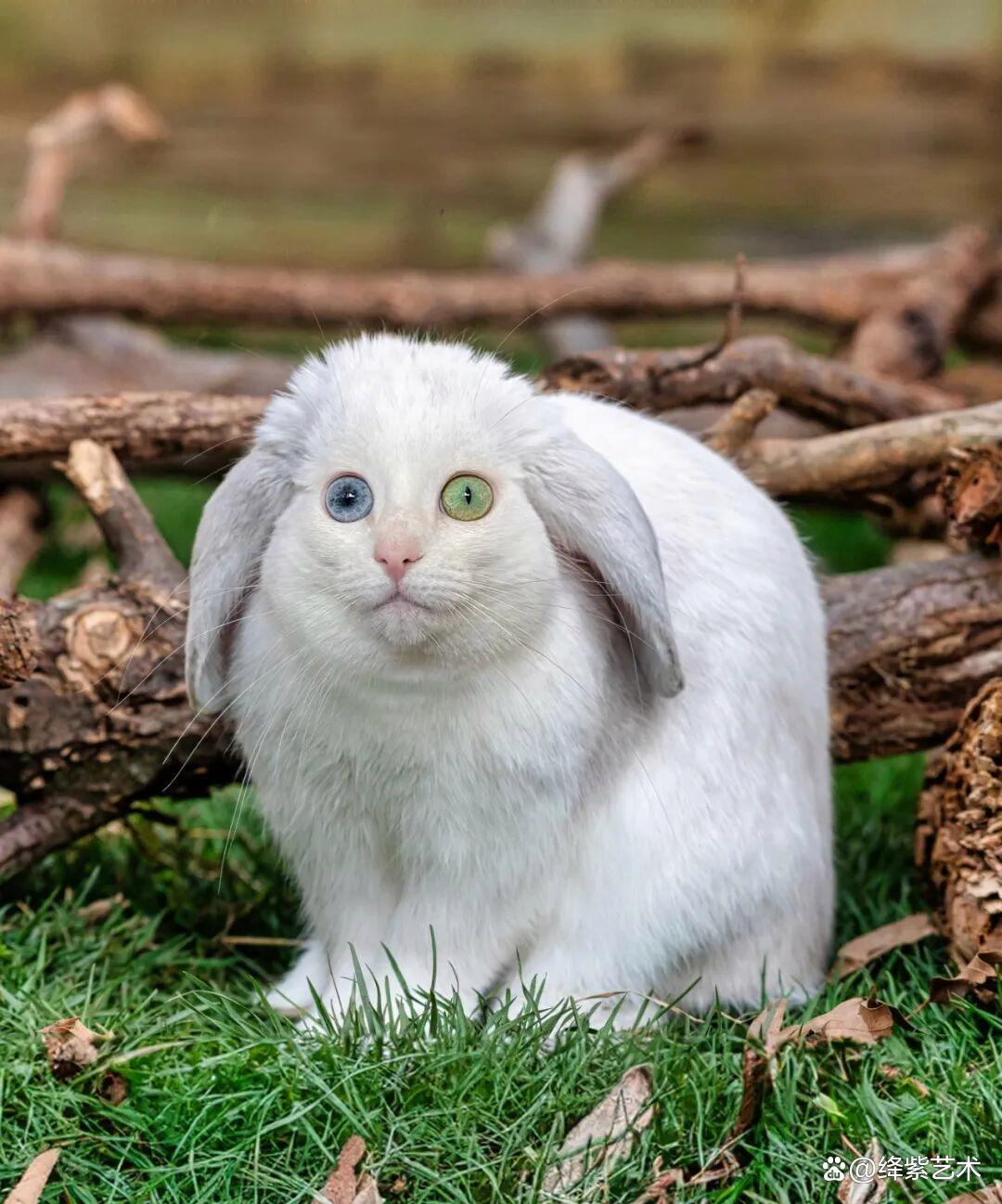 《虚拟化革命:如何用一台服务器,打造百倍效率的未来?》