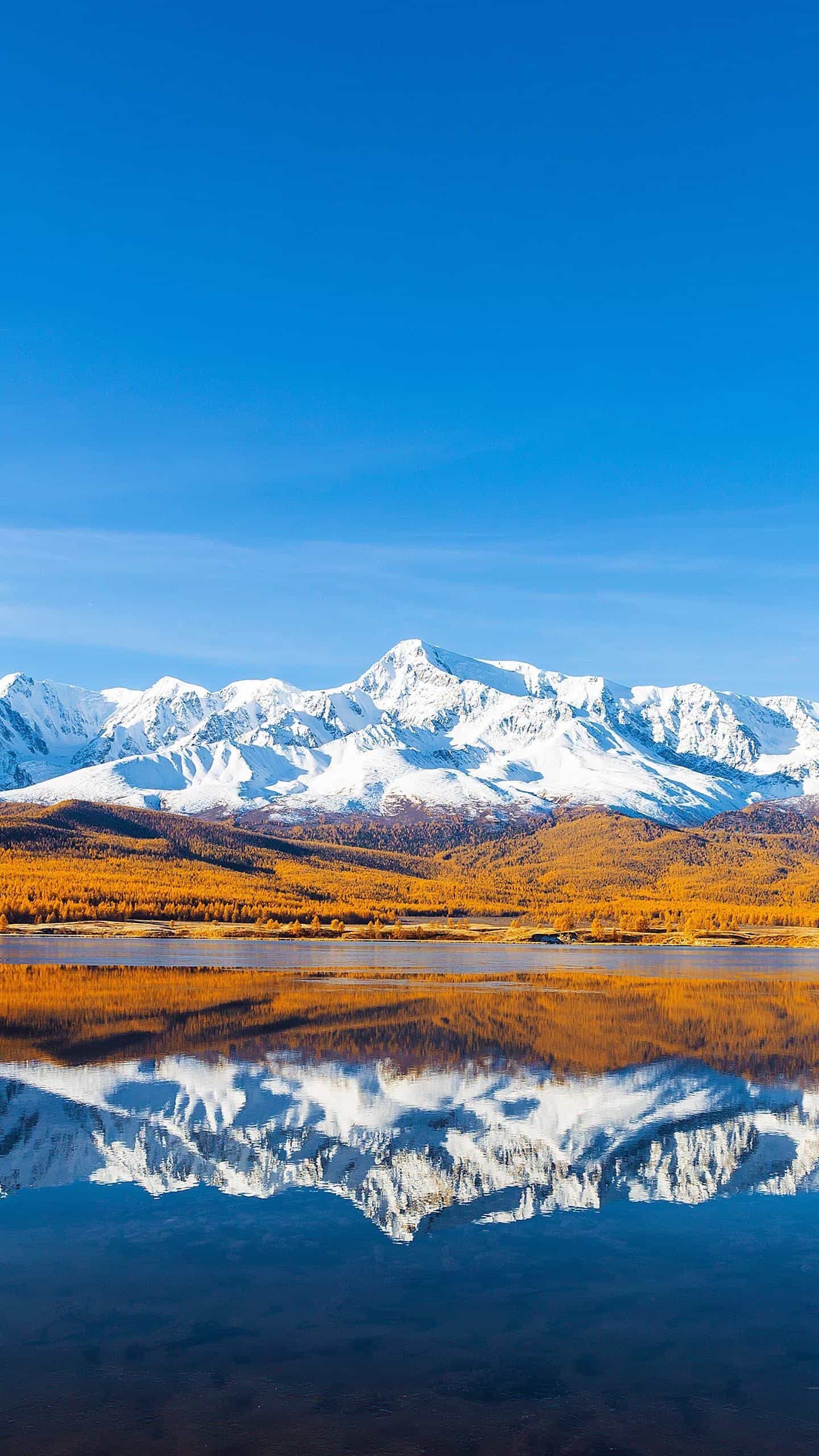 云服务器价格大揭秘：如何用最低成本，撬动最大算力？